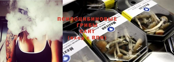 спайс Нягань