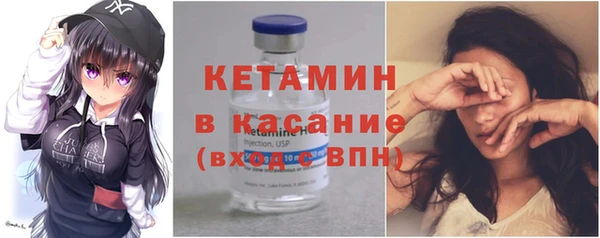 трава Няндома