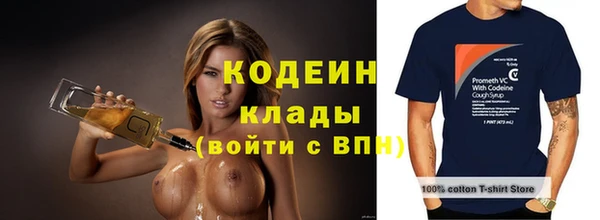 трава Няндома