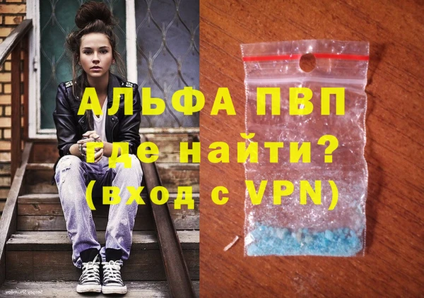 трава Няндома