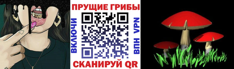 Псилоцибиновые грибы мицелий Яранск